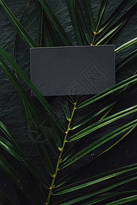 黑石背景和绿色异国树叶的黑商卡平板牌 奢侈品品牌化平铺版套件和模型品牌设计 空的 商业图片
