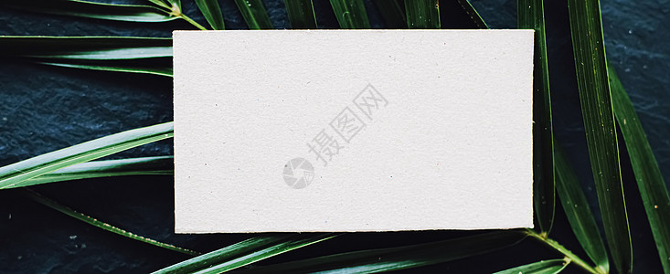黑石背景和绿色异国叶子的白纸牌白纸板 奢侈品品牌平板铺面以及模型品牌身份设计 俱乐部 平铺图片