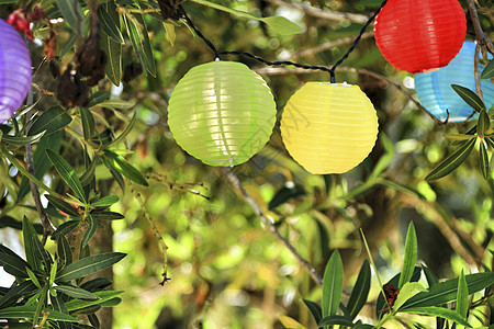 挂在树上的彩色圆灯笼 传统 美丽的 花园 派对图片