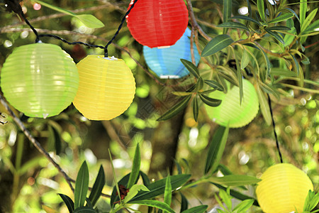 挂在树上的彩色圆灯笼 晚上 美丽的 枝形吊灯 天 夏天图片
