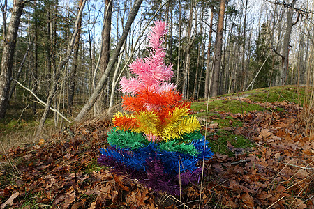 一棵带有骄傲色彩的象征性圣诞树 针叶树 云杉图片