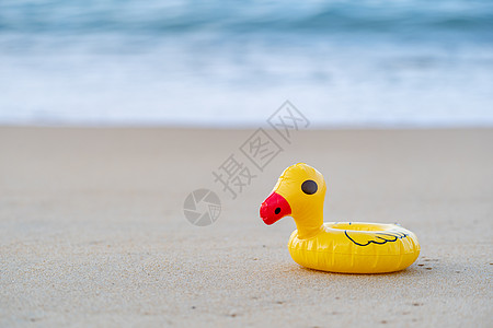 早上在海边的黄橡皮鸭沙滩上 漂浮 鸟 可爱的 救生圈图片