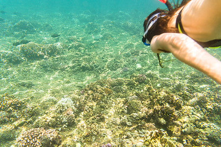 妇女在热带海平面上漂浮 珊瑚 海洋 水下世界 青色 水下图片