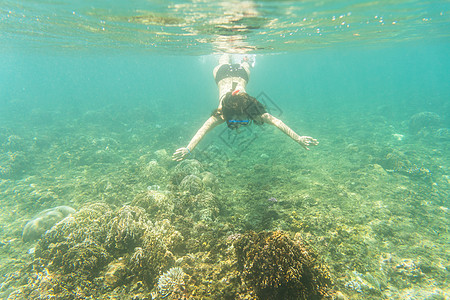 妇女在热带海平面上漂浮 游泳 潜水 珊瑚 海洋 海底图片