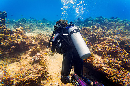 热带珊瑚礁水肺潜水的女潜水员在热带海洋 潜水服图片