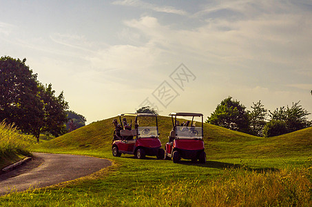 高尔夫球场的电动汽车 积极休闲 安静运动 娱乐 存货 树图片