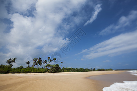 斯里兰卡 热带海滩的美丽景色斯里兰卡 太阳图片