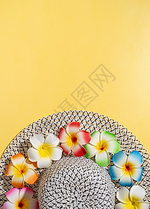 盛夏帽 黄底带花朵的鲜花图片