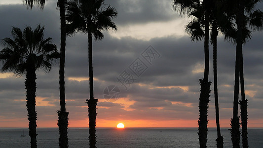 美国加利福尼亚州的棕榈树和黄昏天空 热带海洋海滩日落大气层 洛杉矶的风景 旅行 圣莫妮卡图片