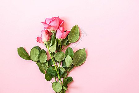 玫瑰鲜花饼柔软背景上美丽的粉红玫瑰花束 婚礼 庆典 春天背景