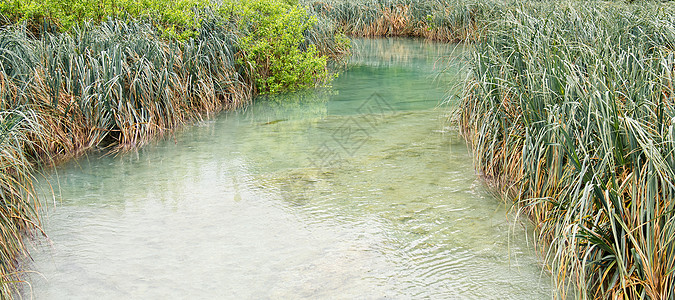 河流背景克罗地亚普利维茨湖泊国家公园湖景色极佳 蓝色的背景