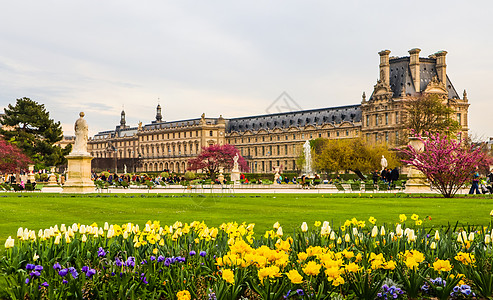 2019年4月 在法国巴黎卢浮宫的观光景色下 2019年4月 草 公园图片