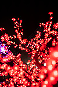 圣诞灯照亮的树枝 传统的 冬天 分支机构 寒冷的背景图片