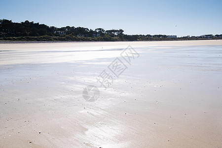 在布列塔尼的“Sables d'or les pins”镇的大沙滩 夏季低潮 全景图片