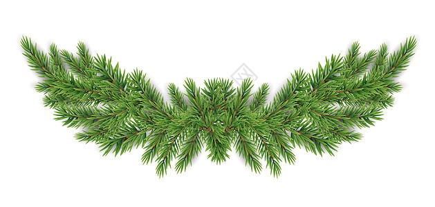 圣诞节和新年现实的冷杉树枝花环 它制作图案矢量 云杉 透明的图片
