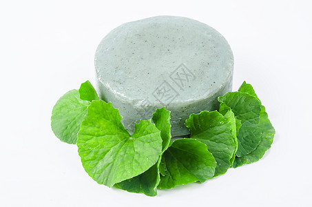 肥皂鸡蛋白 新鲜绿色叶子 补品 智慧 提取物 清爽背景图片