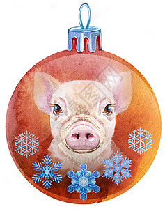 圣诞猪水彩红色圣诞球 白色背景中有一头猪和雪湖的形象背景