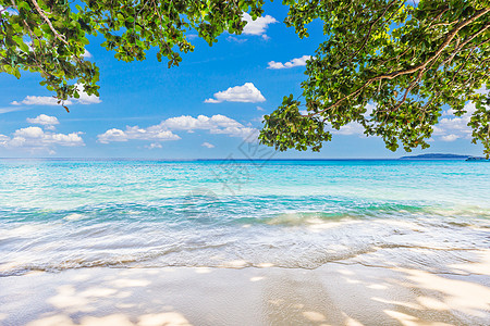 泰国斯米兰群岛美丽热带海的美丽沙滩 海浪拍打在沙滩上 海岸 石头图片