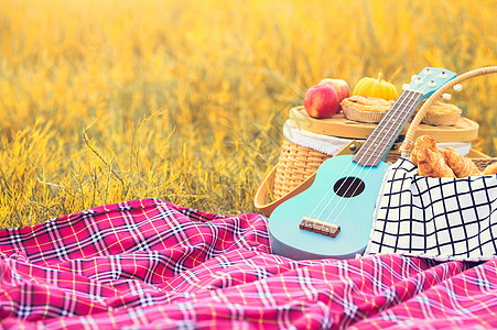 秋季草地上的野餐道具 草地上野餐垫上的四弦琴吉他 野餐篮 面包和水果 对象和旅行放松概念 复制空间图片