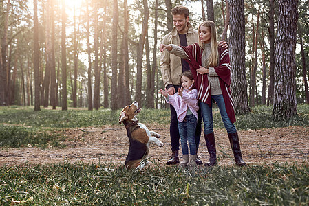快乐的父母和女儿玩得开心 在森林里跳狗图片