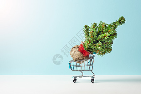 圣诞树在一家超市的购物小车里 它被隔绝在浅蓝色露地上 新年或圣诞销售概念 有复制空间的Banner图片