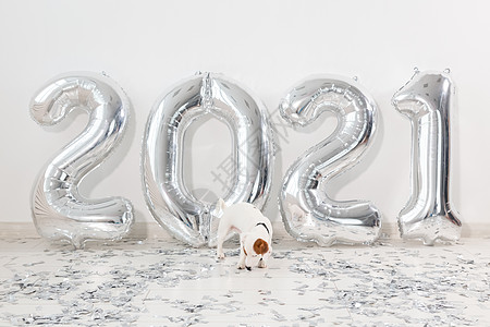 2021年新年庆典 银气球 节日派对装饰品 注 星际迷航  五彩纸屑 挫败背景图片
