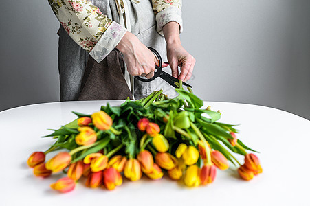 女人制作一束鲜花的组成 一束黄色 橙色和红色的郁金香 白色背景 花店 金的图片