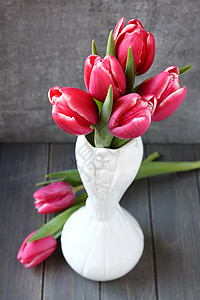 木本底白色花瓶中的粉红色郁金香布图片