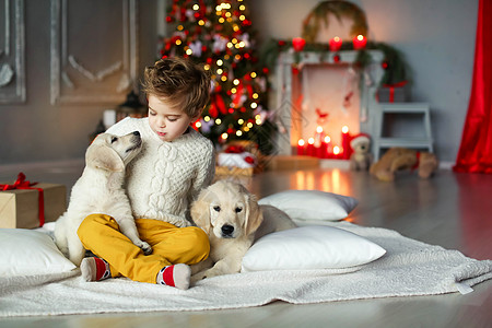 可爱的宝宝与白色金色拉布拉多 在圣诞装饰的背景背景图片