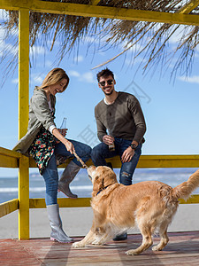 年轻夫妇和一条狗在沙滩上 爱 波浪 海滩 啤酒图片