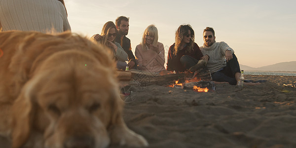 朋友在邦火海滩派对上放松 喝 假期 日落 营火图片