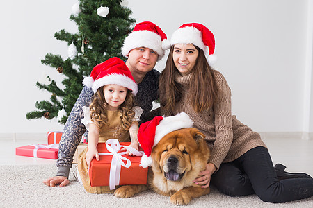 宠物 假期和节日概念 — 带狗的家人坐在圣诞树附近的地板上 女性 享受图片