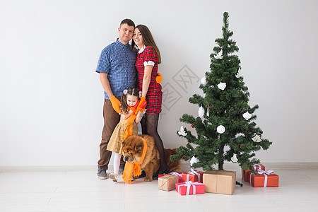 宠物 节假日和节日概念   有狗的家庭站在圣诞树附近 父亲 快乐的图片