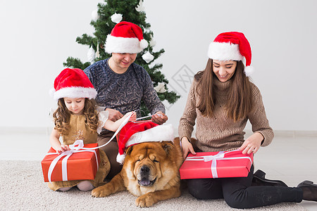 宠物 节假日和节日概念   有狗的家庭站在圣诞树附近 享受 冬天图片