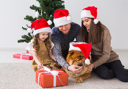 宠物 假期和节日概念 — 带狗的家人坐在圣诞树附近的地板上 女士 快乐图片