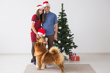 宠物 节假日和节日概念   有狗的家庭站在圣诞树附近 微笑 动物图片