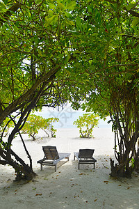 热带热带沙滩椅 伞 床 支撑 旅行 海景 夏天 椅子图片