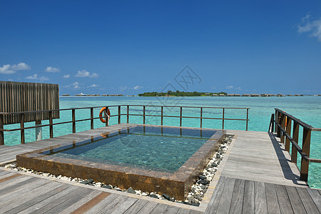 热带水和热带水家庭别墅 奢华 马尔代夫 树 夏天 游泳池图片