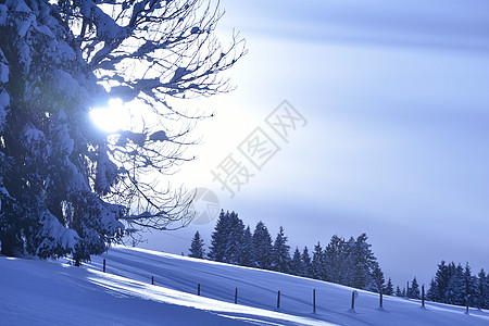 山区冬季地貌 气候 降雪 日出 树 旅行 晴天 日落图片