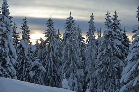 冬季山地景观 天 国家 雪 降雪 季节 天气 寒冷的图片