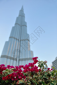 摩天大楼 旅游 阿拉伯 迪拜塔 哈里发 水池 塔图片