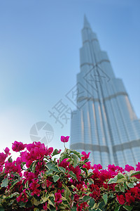 摩天大楼 清除 市中心 建筑学 迪拜塔 蓝色的 阿联酋 高的 美丽的图片