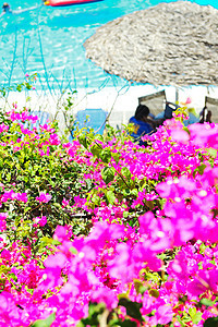 带有鲜花和泳池视图的浪漫阳台 热带 房子 山图片