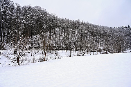 美丽的雪景景观 冬季自然 - 季节概念 冷杉图片