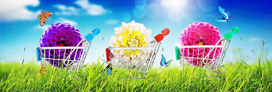 小型购物车 配有多彩鲜花和蝴蝶 零售 植物群 问候语图片