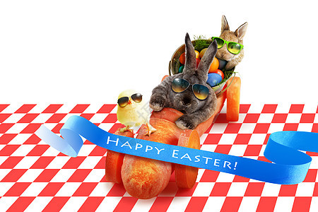 有趣的复活节兔子 复活节快乐的概念 啮齿动物 毛皮图片