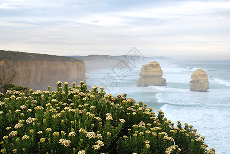澳大利亚维多利亚州大洋路十二使徒岩的直视图 美丽 地标图片