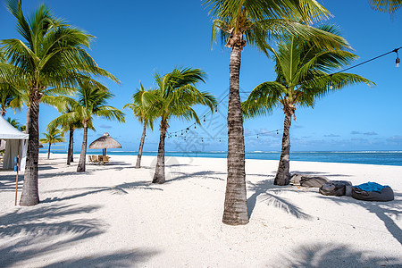 带白色沙滩和棕榈树的热带海滩 Le Morne 毛里求斯 带蓝色海洋和棕榈树的毛里求斯白色沙滩 异国情调 泻湖图片