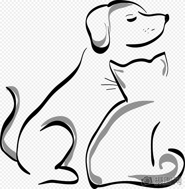 猫猫和狗狗的背影