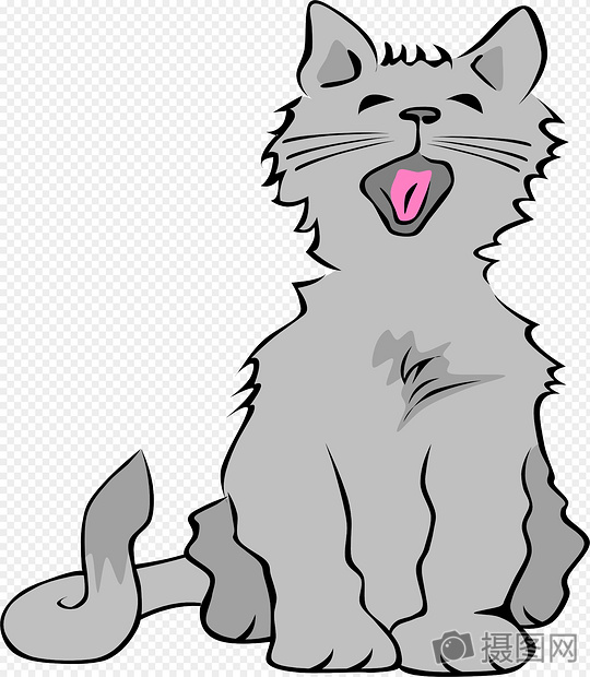 打哈欠的猫